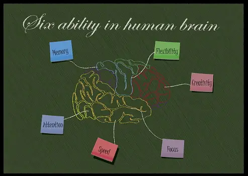 image that ilustrates Choosing and Installing a WordPress Theme: A Beginner’s Guide